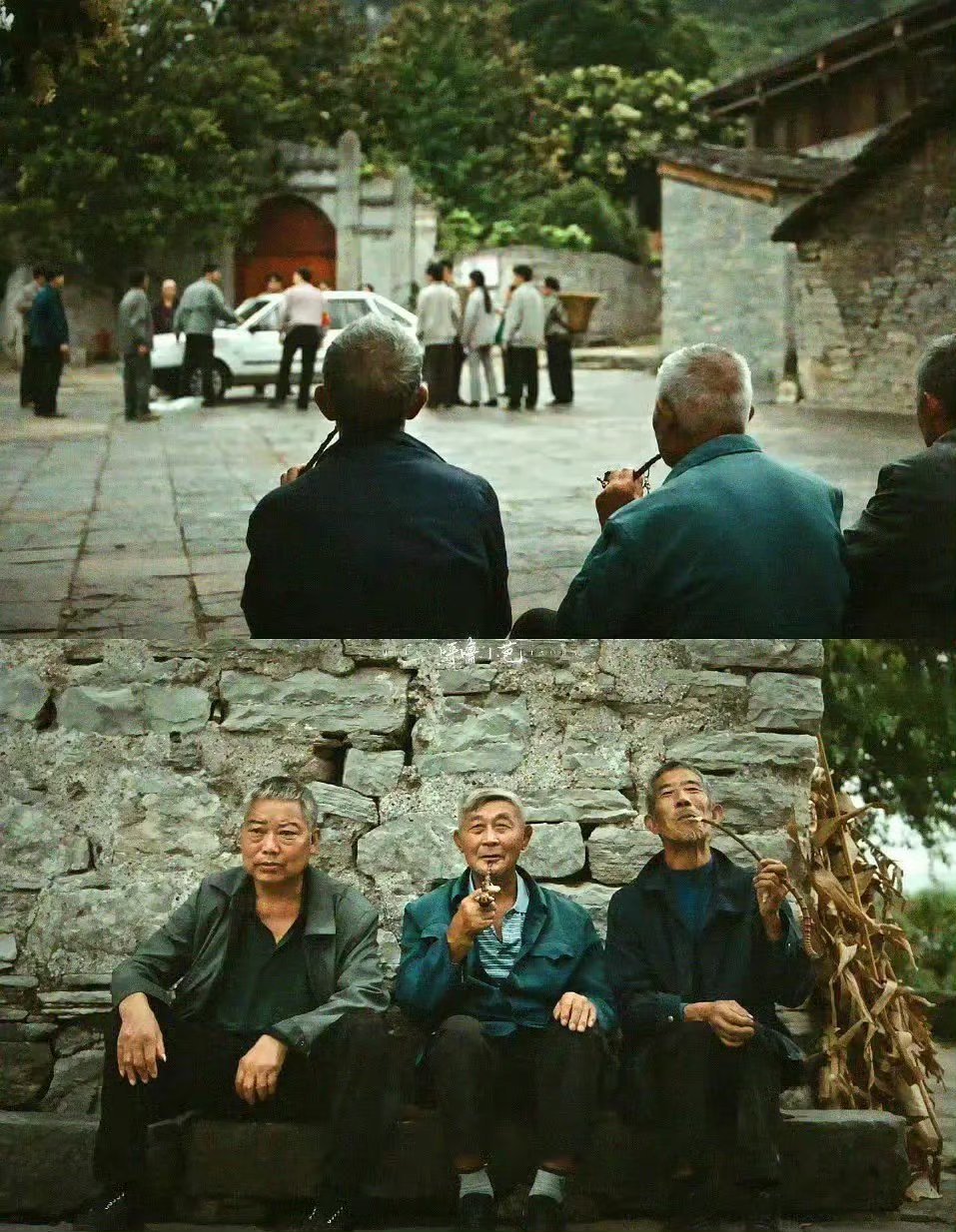 利剑玫瑰的神级镜头， 给导演和剪辑师加鸡腿，镜头节奏感剧情演员全方位无短板，制作