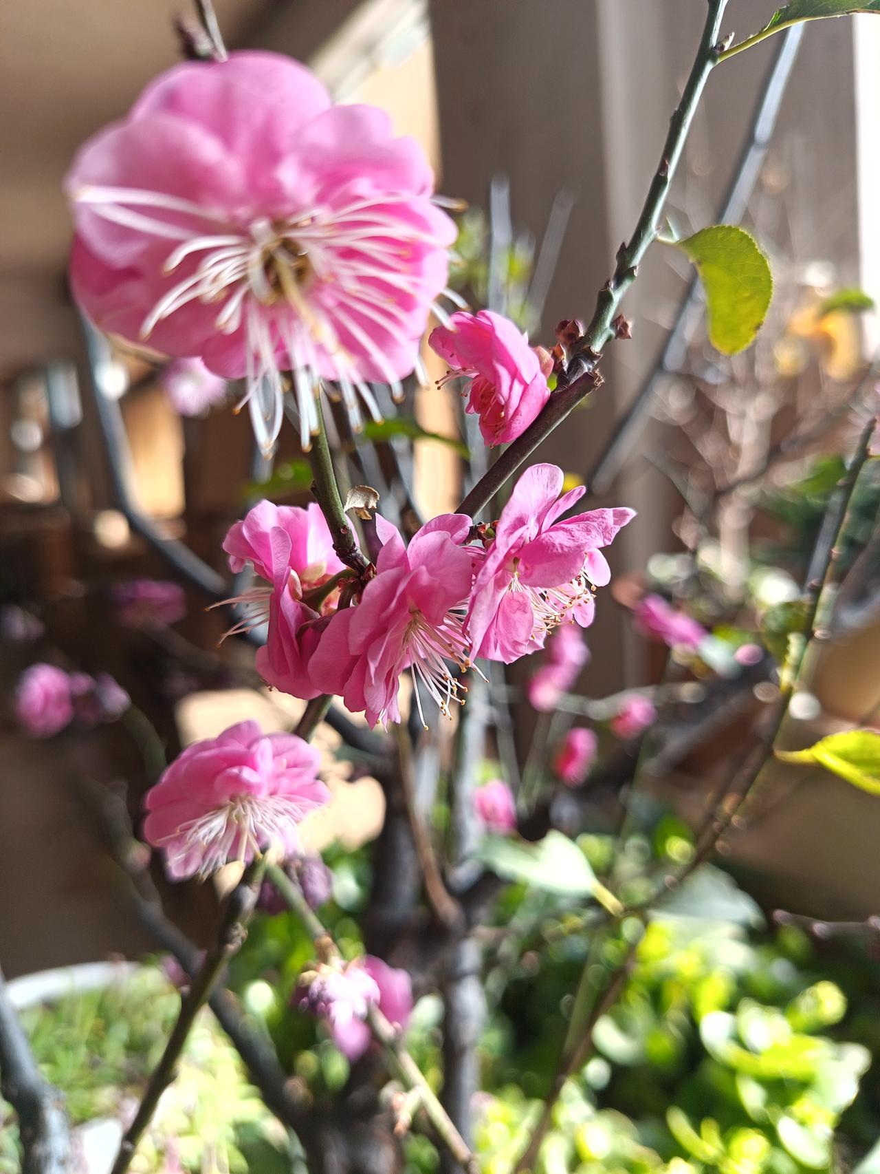 经常安慰自己的一句话是什么日子是自己的，过的幸福不幸福，没有必要去和别人诉说