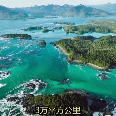 《3万平方公里藏着全球最完整温带雨林，一条鱼就能养活一座岛，加拿大最佳岛屿到底有
