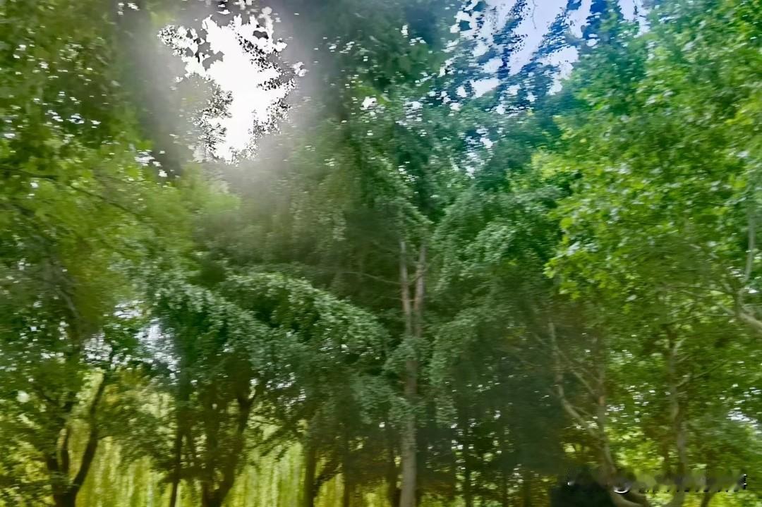 ❤️影响力的金三角

原来想要拥有正向影响力，核心就三点：思维、语言、行为，三者