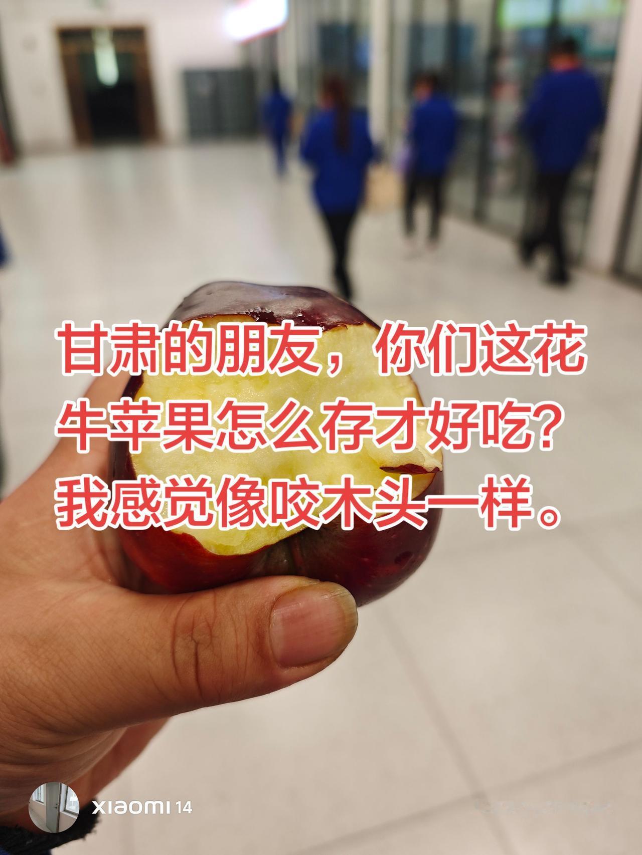 这个苹果感觉和刚从树上摘下来的一样，很硬，果肉很硬，没有什么甜味，也没有什么别的