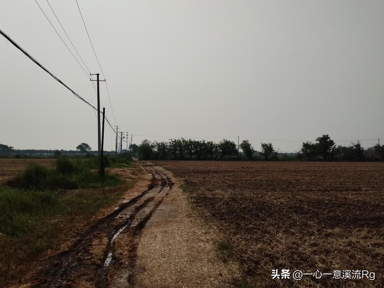 众友友早上好！
今天是6月15日星期一，日出时间4.46分，日落时间7.34分，