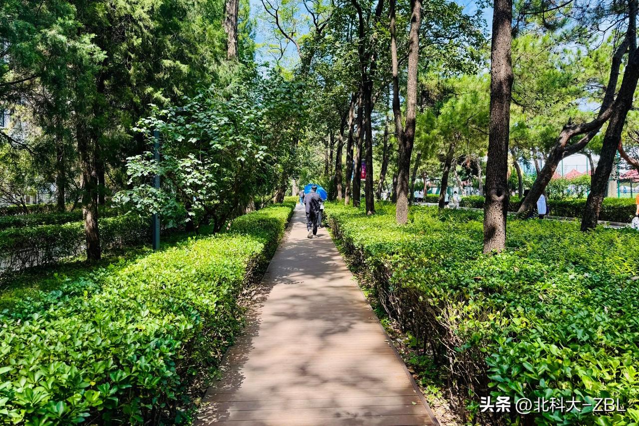 安全和高收益，你选择哪个？

周末，北交所对私下收购新股、约定新股收益分成的中介