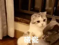 专业的、集团性碰瓷，该不该打击？