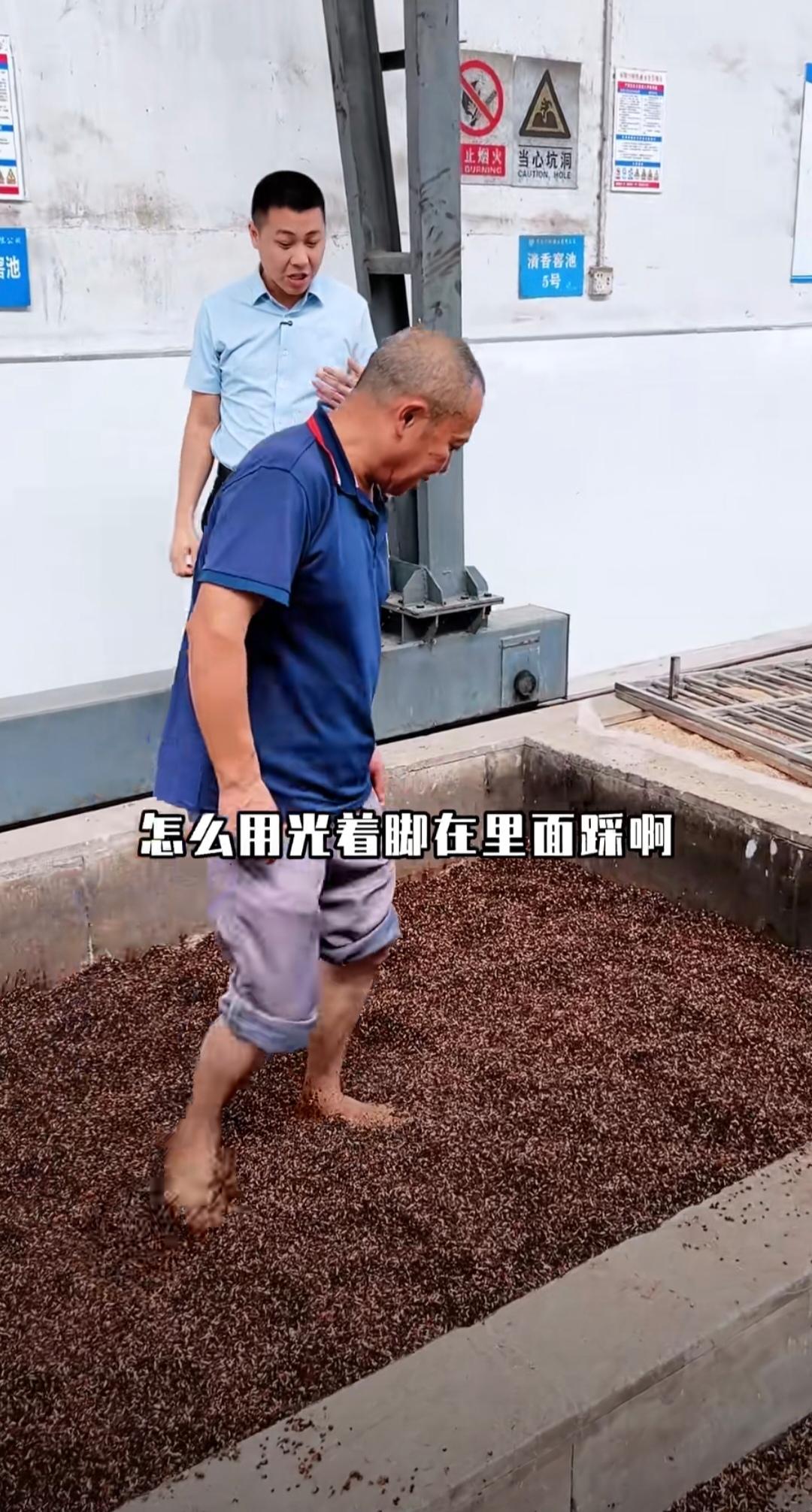 如果你看到光脚中年大叔在用光脚踩酒糟酿酒，你能够喝吗？（图1）你可能喝进去的酒都