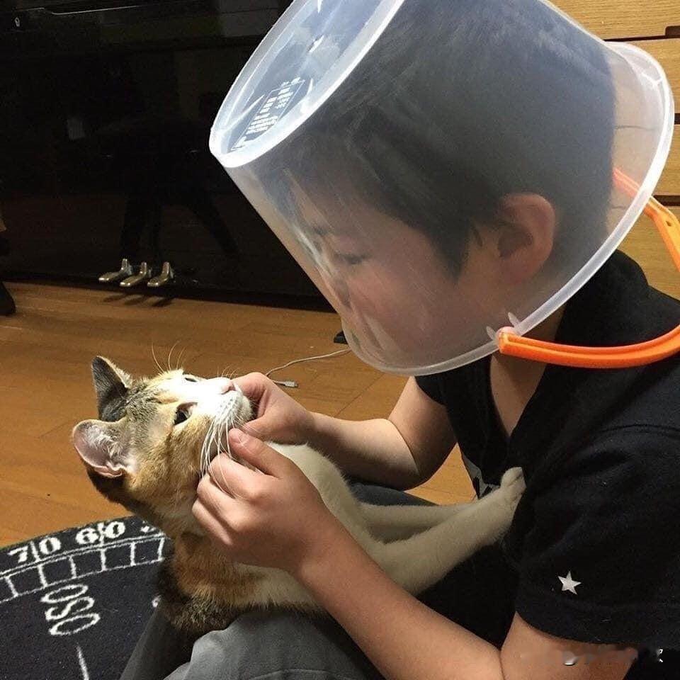 养了一只猫咪呀，这个猫咪爱抓人，但小朋友又喜欢，脸上被猫咪用爪子抓了一下，现在都