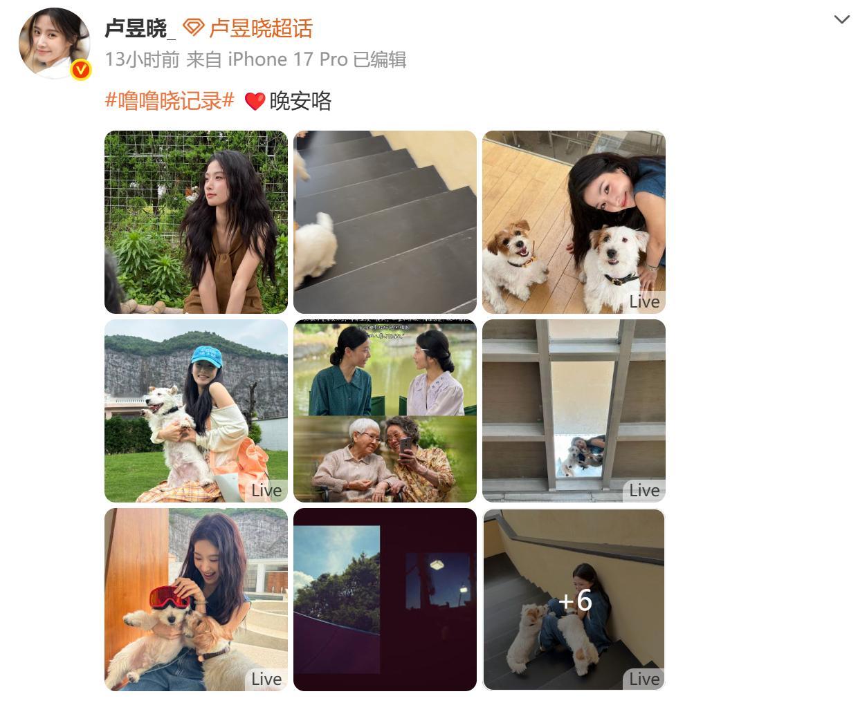 演员卢昱晓发文向《给阿嬷的情书》致歉：我的行为伤害了电影创作者的心血，已深刻认识
