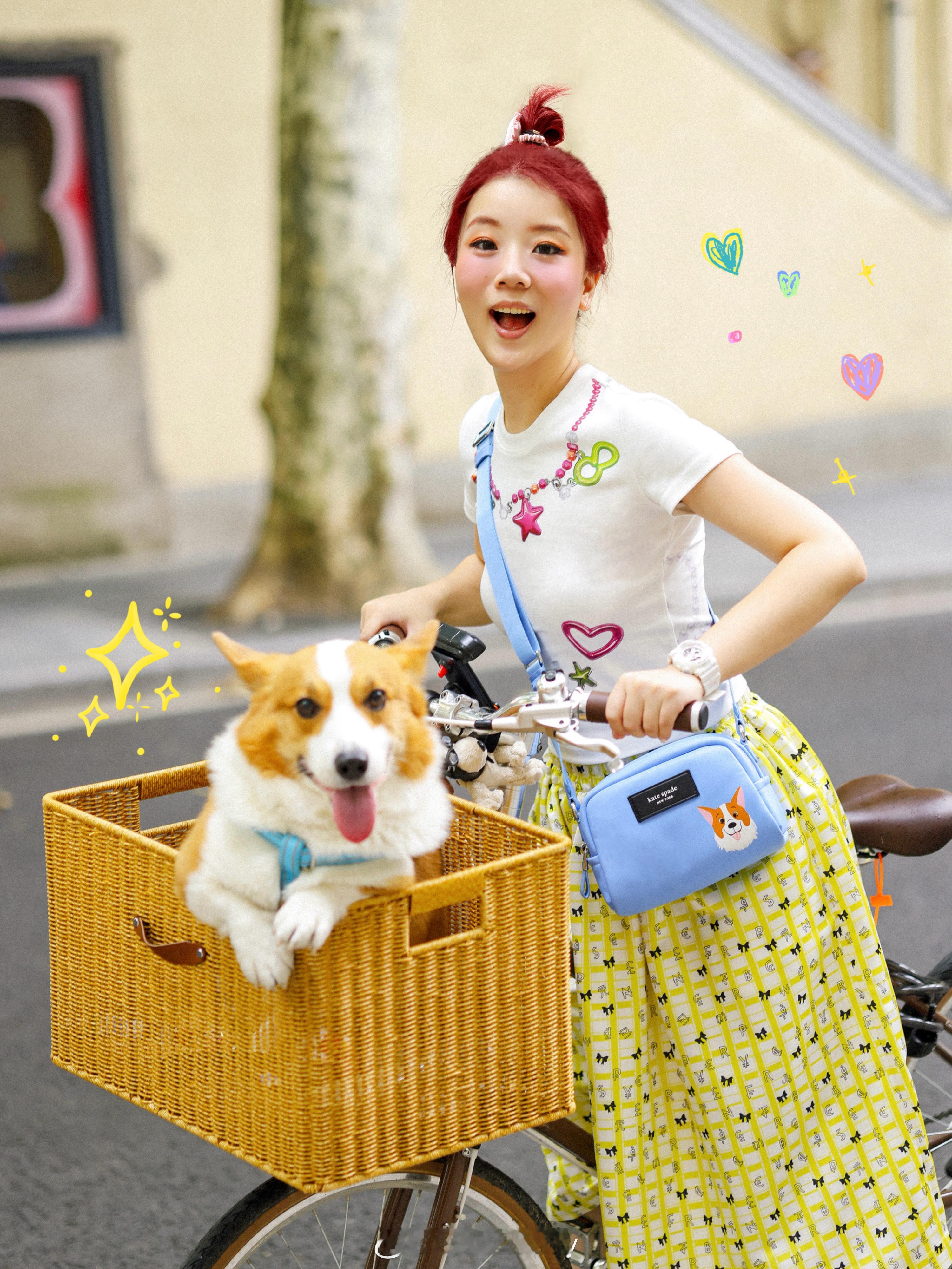 今年无敌有一个重大的变化！就是绝育了！没想到在5岁这一年还是不得不面对这件事～但