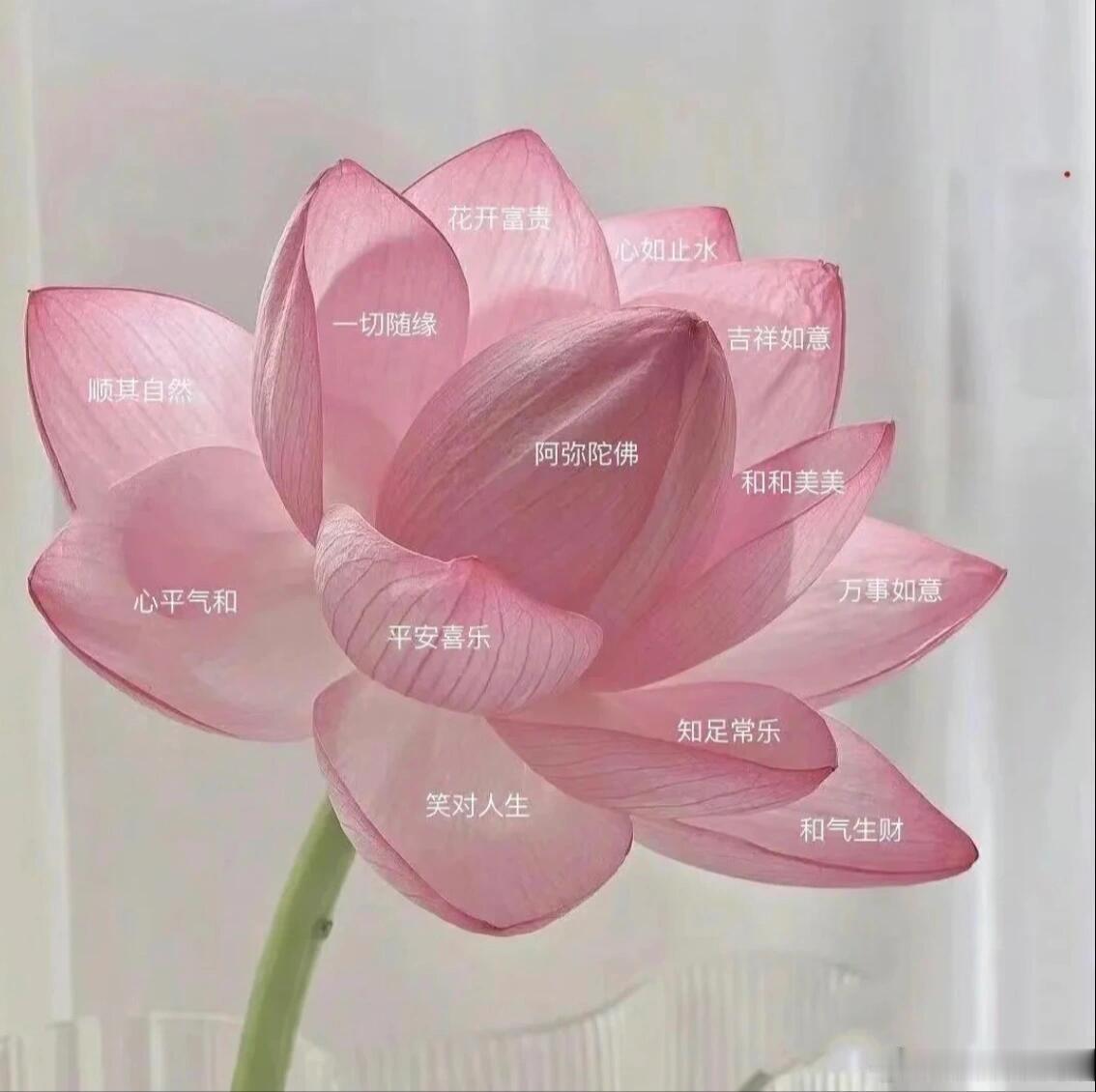博君一肖 早上好吖～好呀好呀～ 