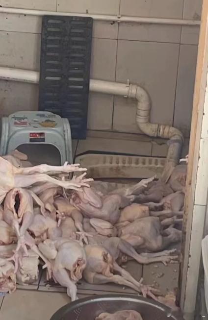 取完餐外卖员差点吐了 每次点都会看看有没有可堂食奉劝大家不要点炸鸡和炒饭你绝对想