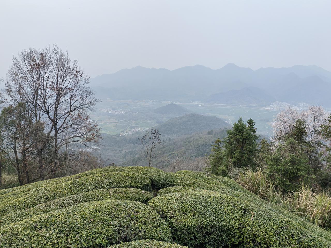 分享手机里随手拍的风景照片