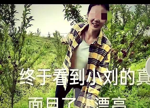 当厉怀远几次想去天津陪孩子时，却被砀山的小刘的“三条铁律”卡住：只能见娃，不许见
