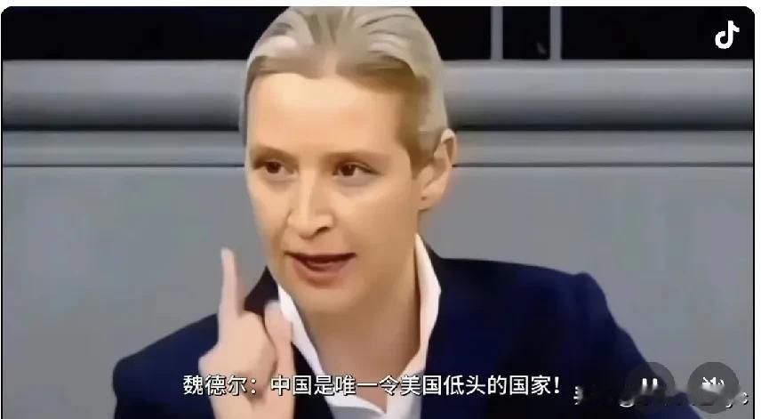 德国选择党魏德尔在新近的一次演讲中说道——
美国无论谁当总统，其对外政策始终奉行