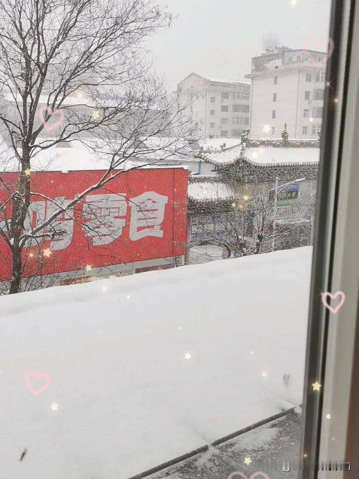 今年第一场雪景，空气很清新，心情也不错，鹅毛大雪