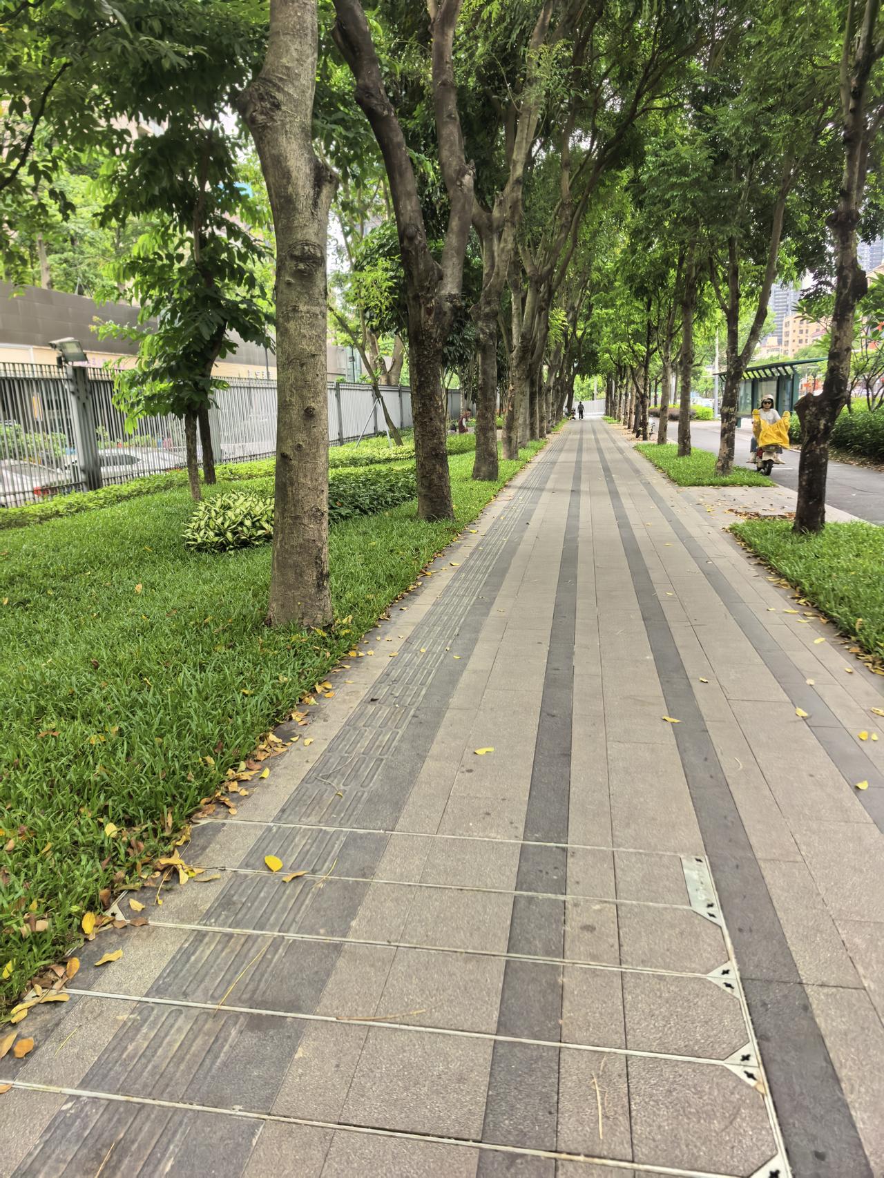 分享街拍美景改造后的深圳华为荔枝苑东区西边的人行道。
