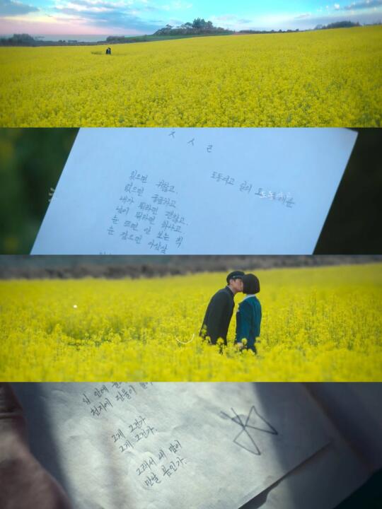 “日日是春日”🌼 我决定15集就是大结局