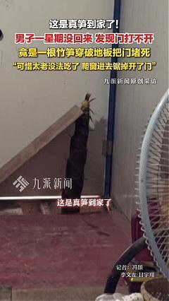 这是真笋到家了！近日安徽宣城，男子出门一个星期，回来发现门打不开了，钥匙插进去怎