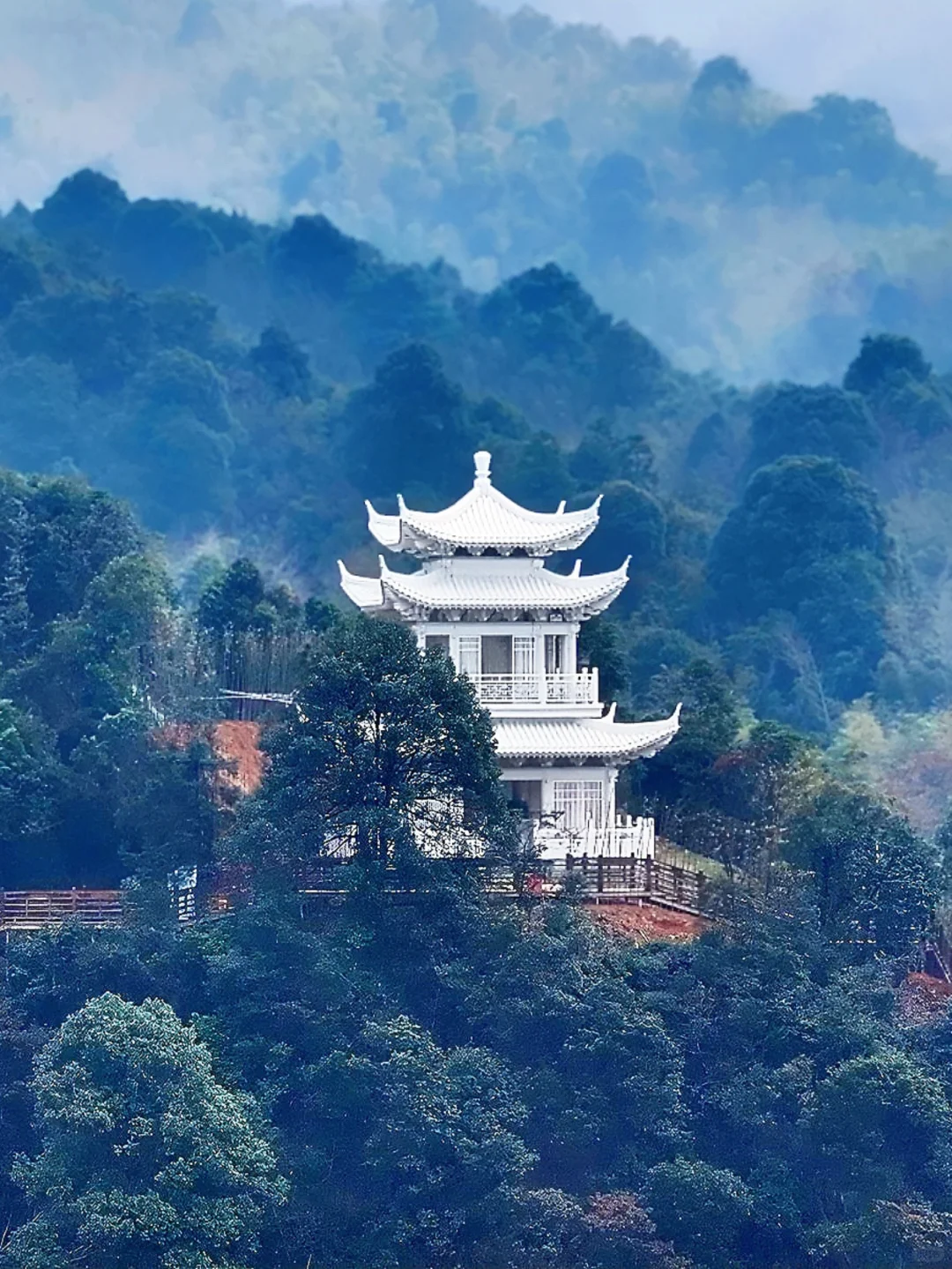 踏遍千山归隐处,只为邂逅白水仙