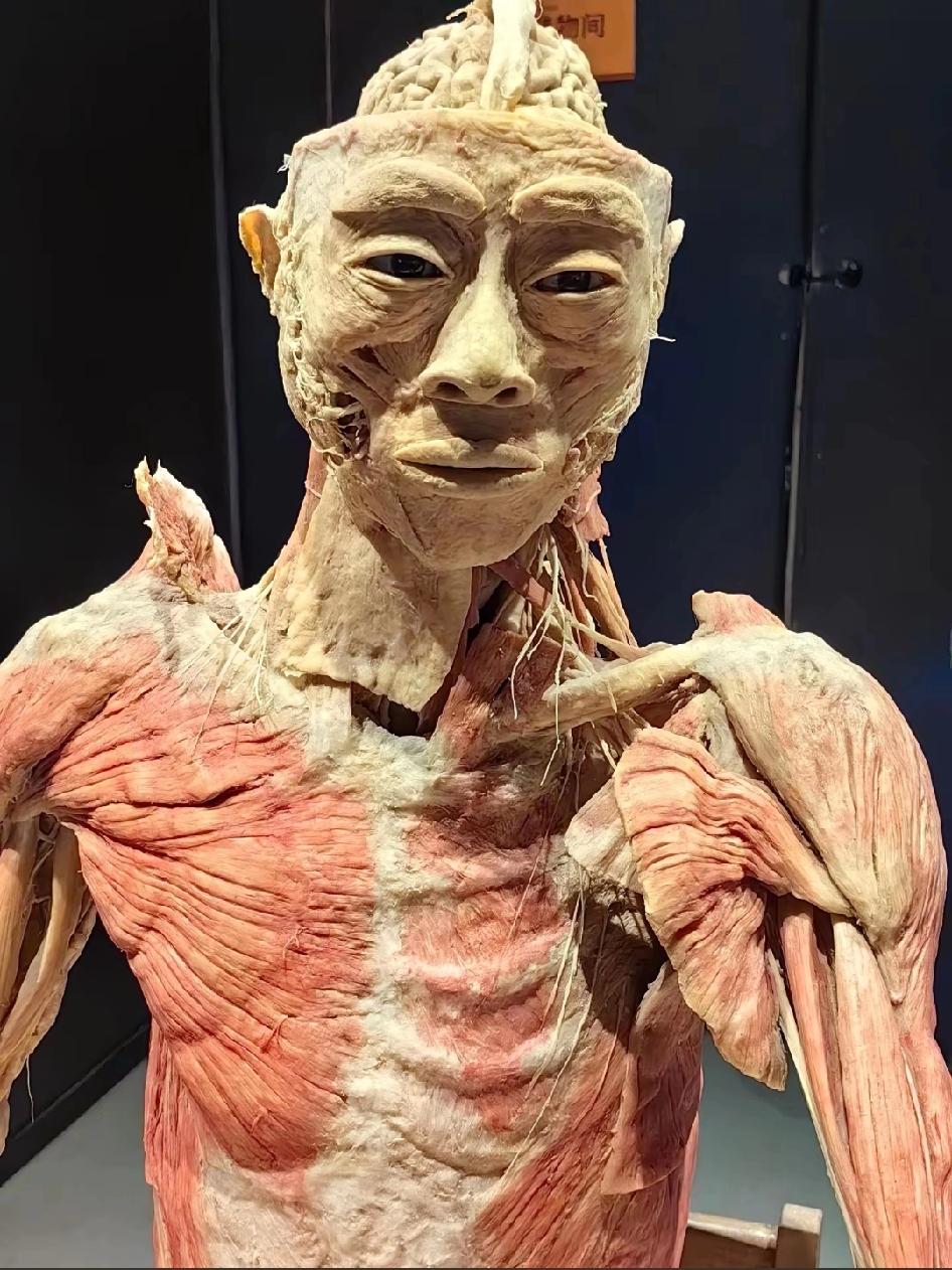 他们管这个叫艺术！
除了变态种没人会欣赏得来，这个像真人，太残忍了这些变态，这他