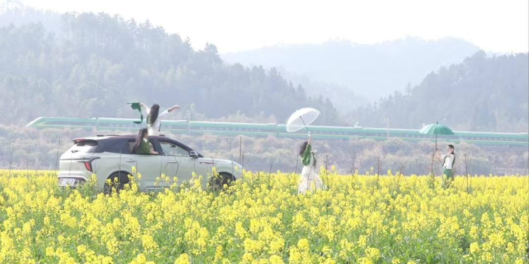 天净沙·春景绮梦
绿裙轻掠花田，
菜黄波涌如涟。
风舞罗裳影倩。
火车驰远，
祝