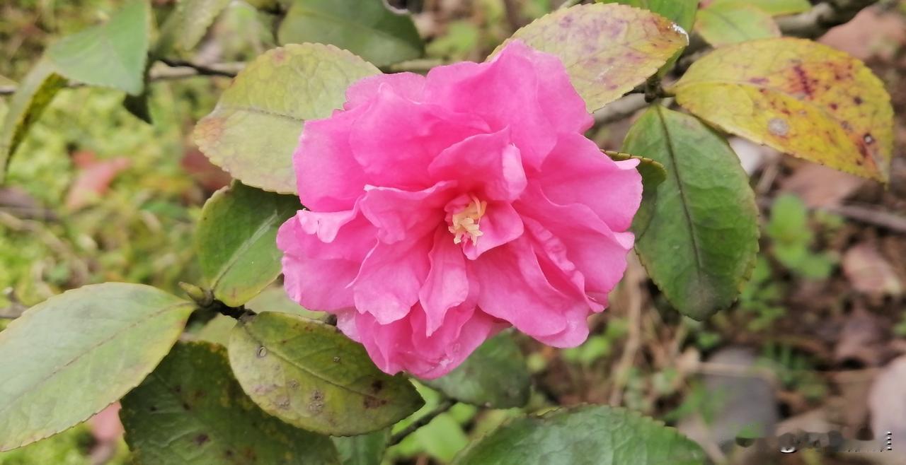 今日谷雨，是春季最后一个节气。
过谷雨也有不少讲究。这些老祖宗传下来的讲究，都是