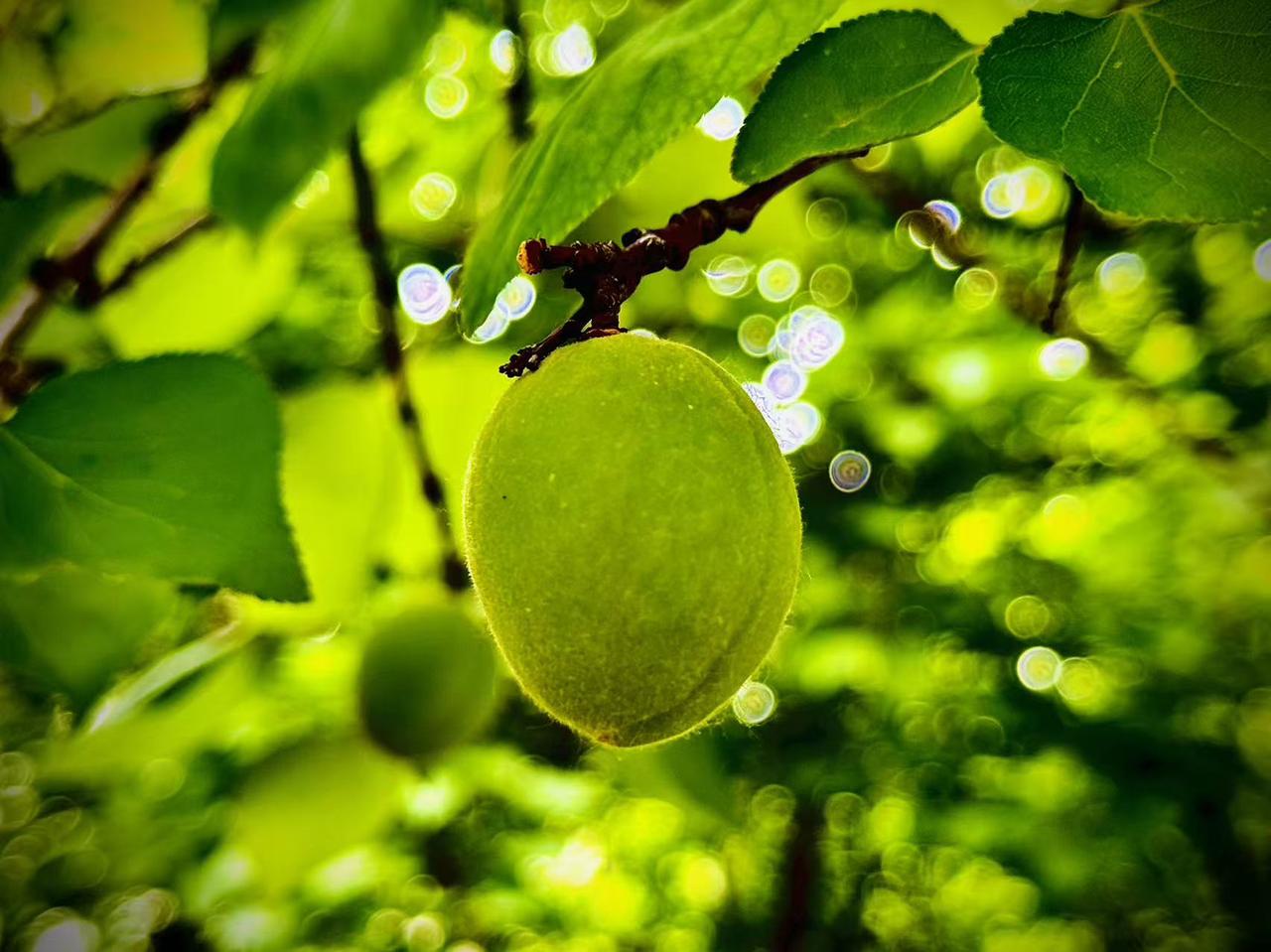 我的今日状态：😁轻松愉快
我这里的天气：🌤️多云
     岁月的证词
  