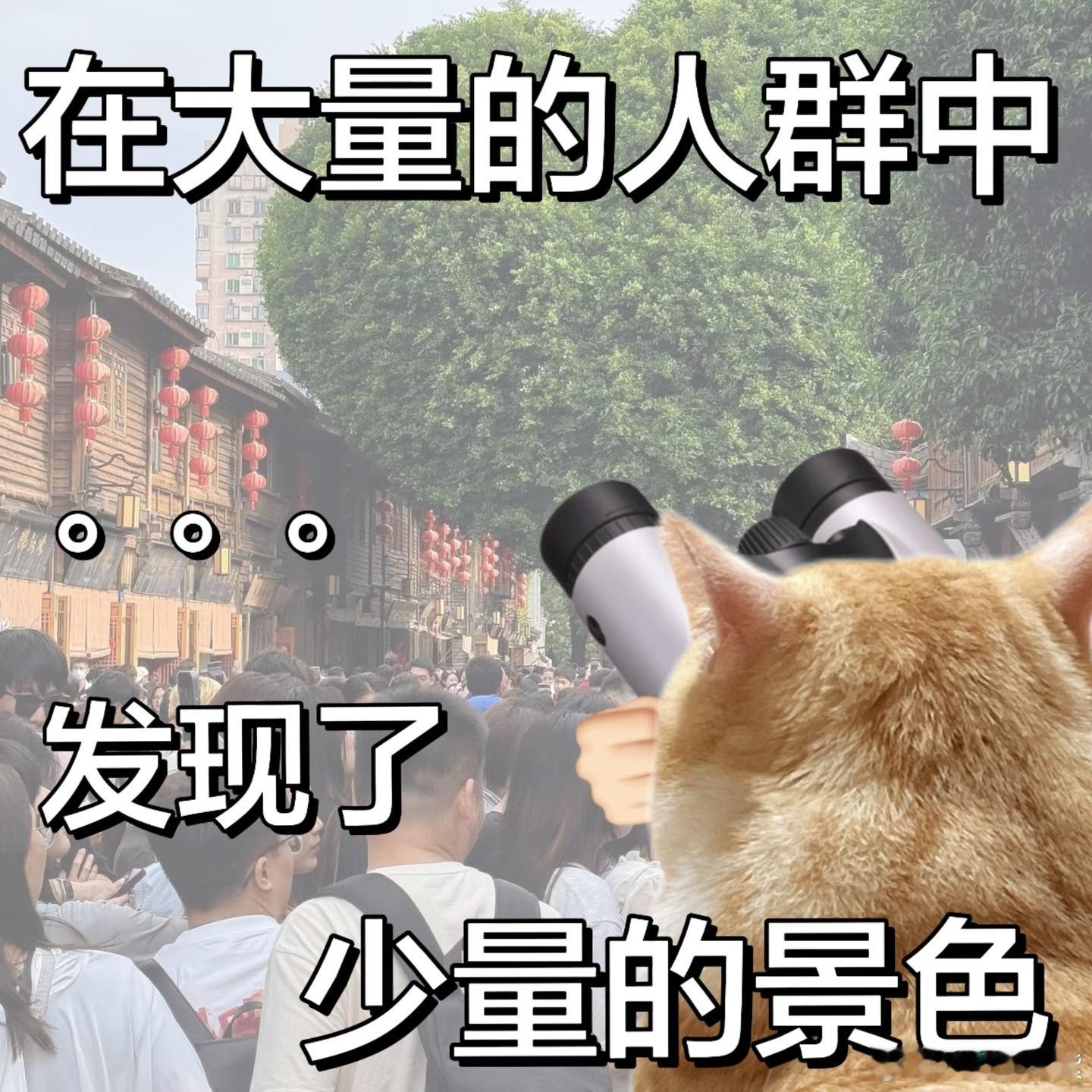 为什么建议大家春节期间去旅游我只有上班的时候才会想要去旅游，一到放假只想好好在家