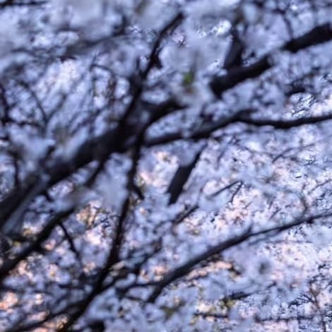 每日一善[超话]     🌸 每日一善  🌸【仅hui较好及以上, 指🦌不