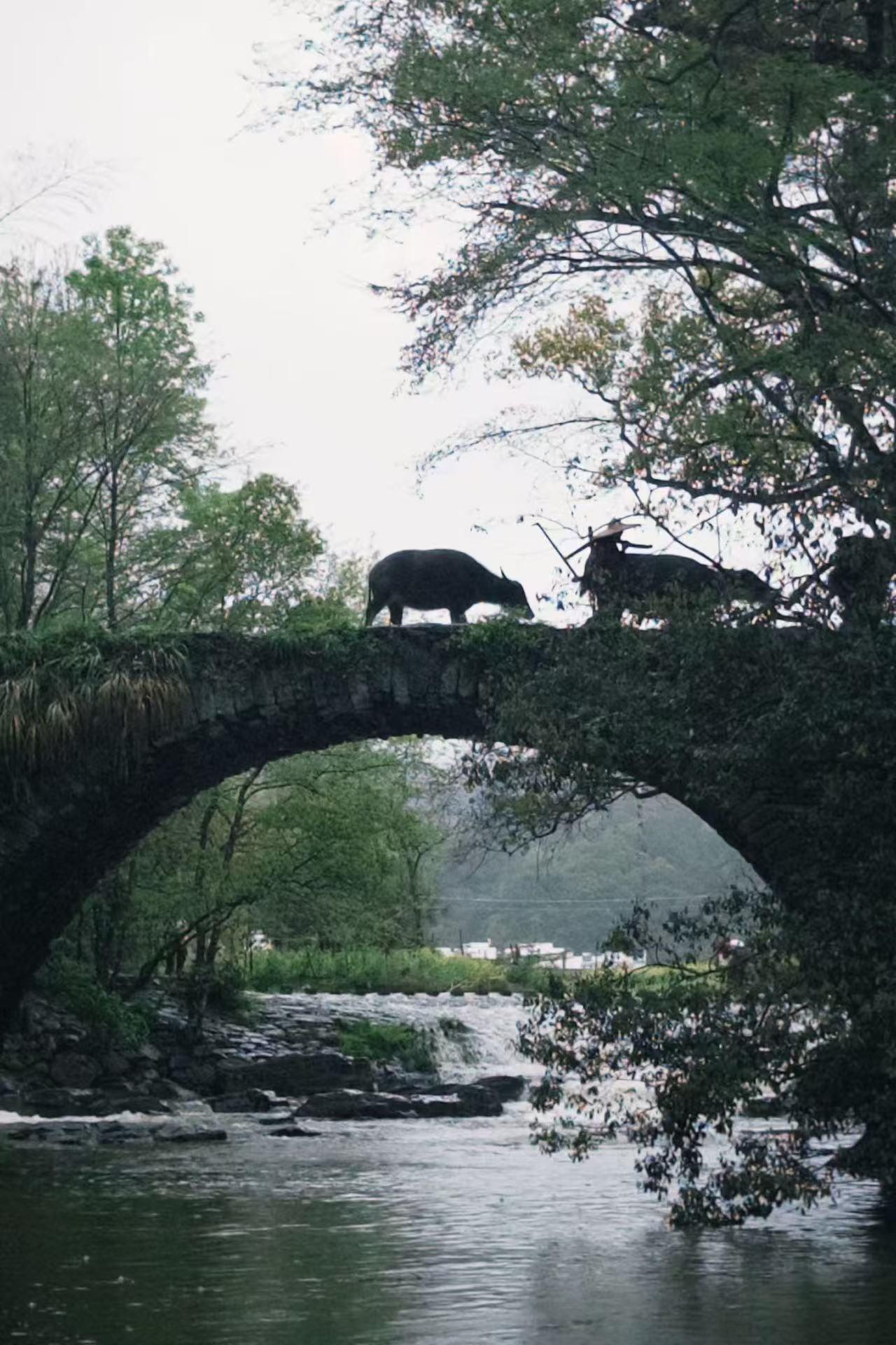 那会儿天色已晚，还有两个村子没有去，察关村和虹关村，女儿一路担心到那里天会不会黑
