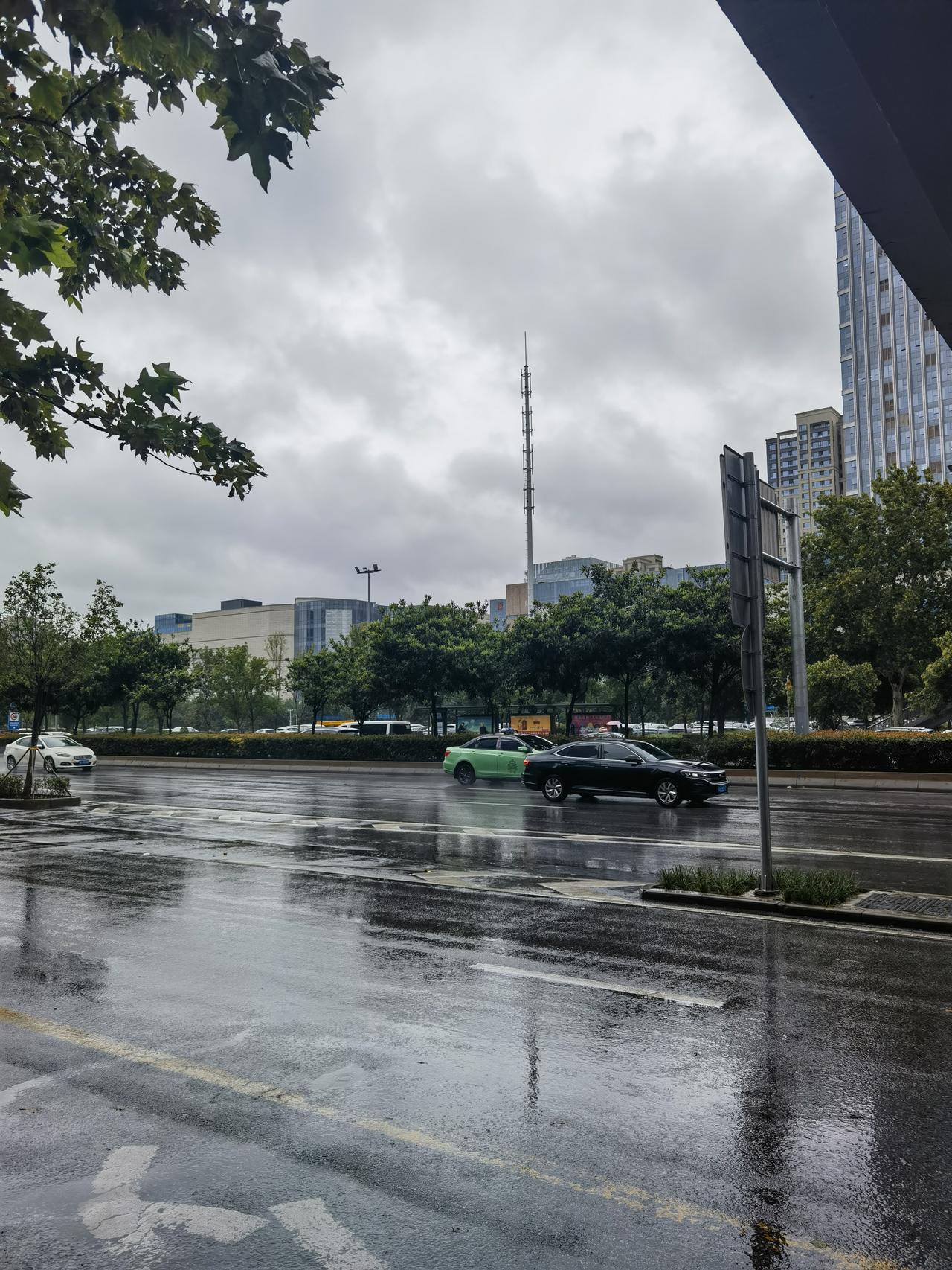 一张图记录我家的天气情况大雨，天气变冷了