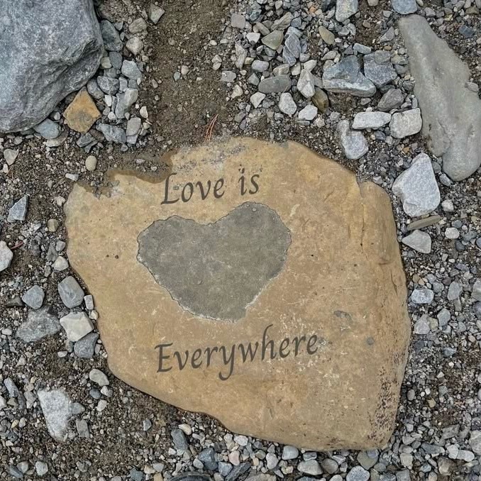 love is everywhere🤍  专栏 · ☆ moodboard
