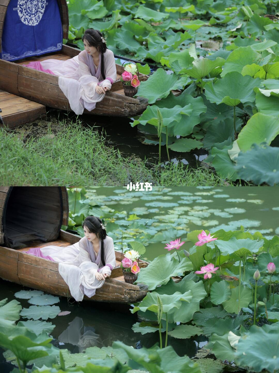 别问我能拍荷花了没，有花没花又有什么关系
