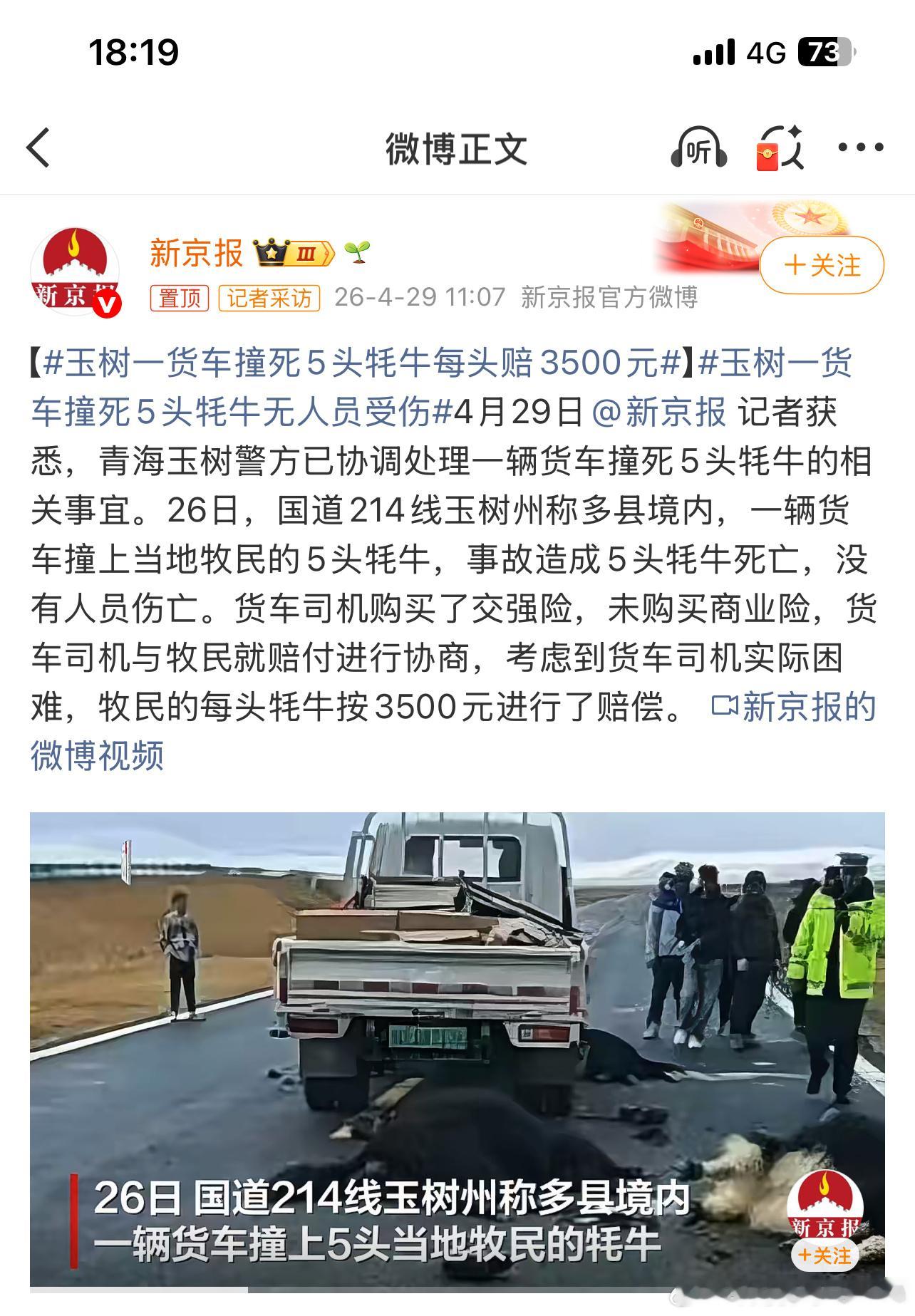 玉树一货车撞死5头牦牛每头赔3500元每次去到草原、西北和藏区试驾教练首先就叮嘱
