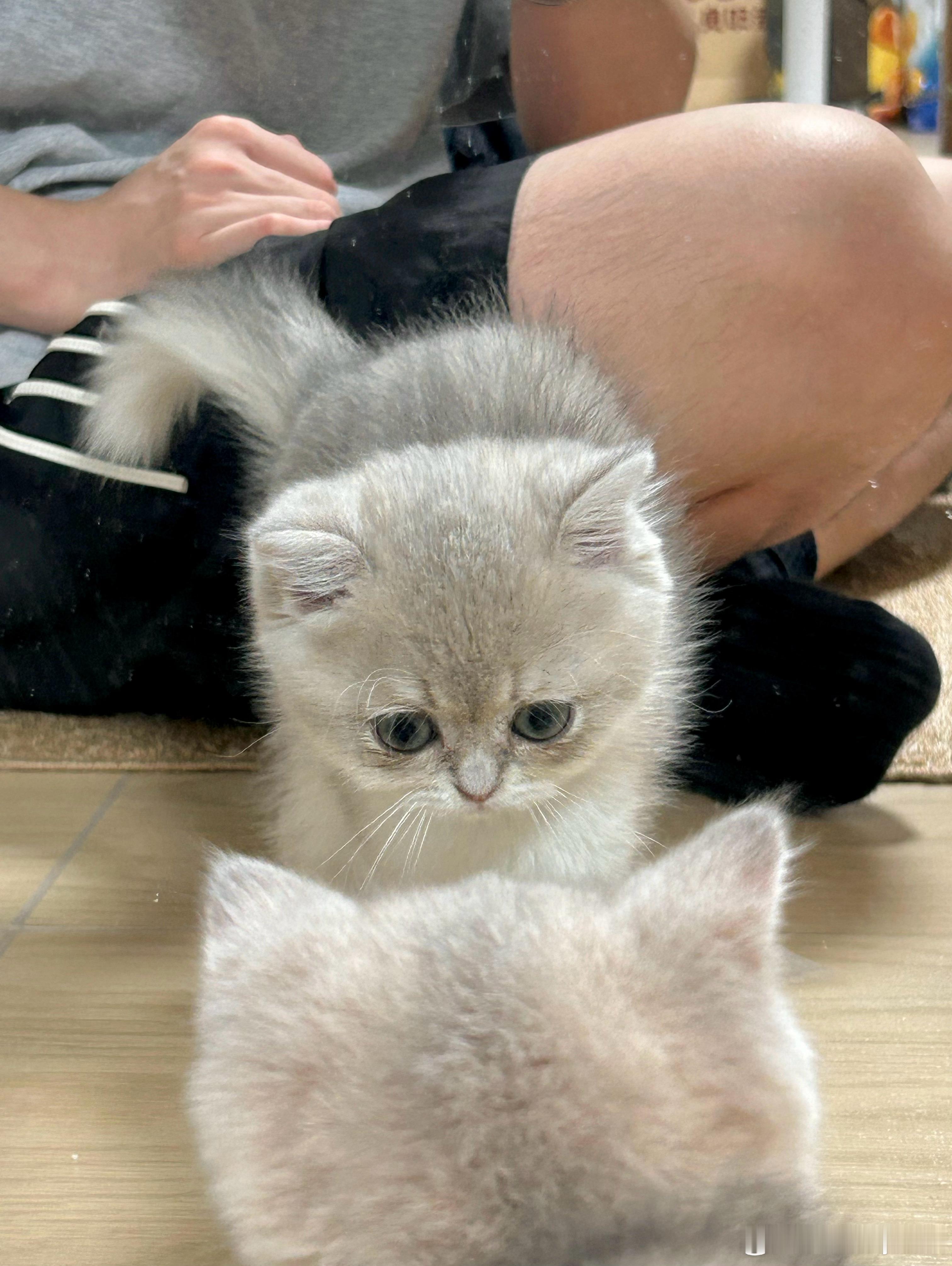 小茂密 ​​​