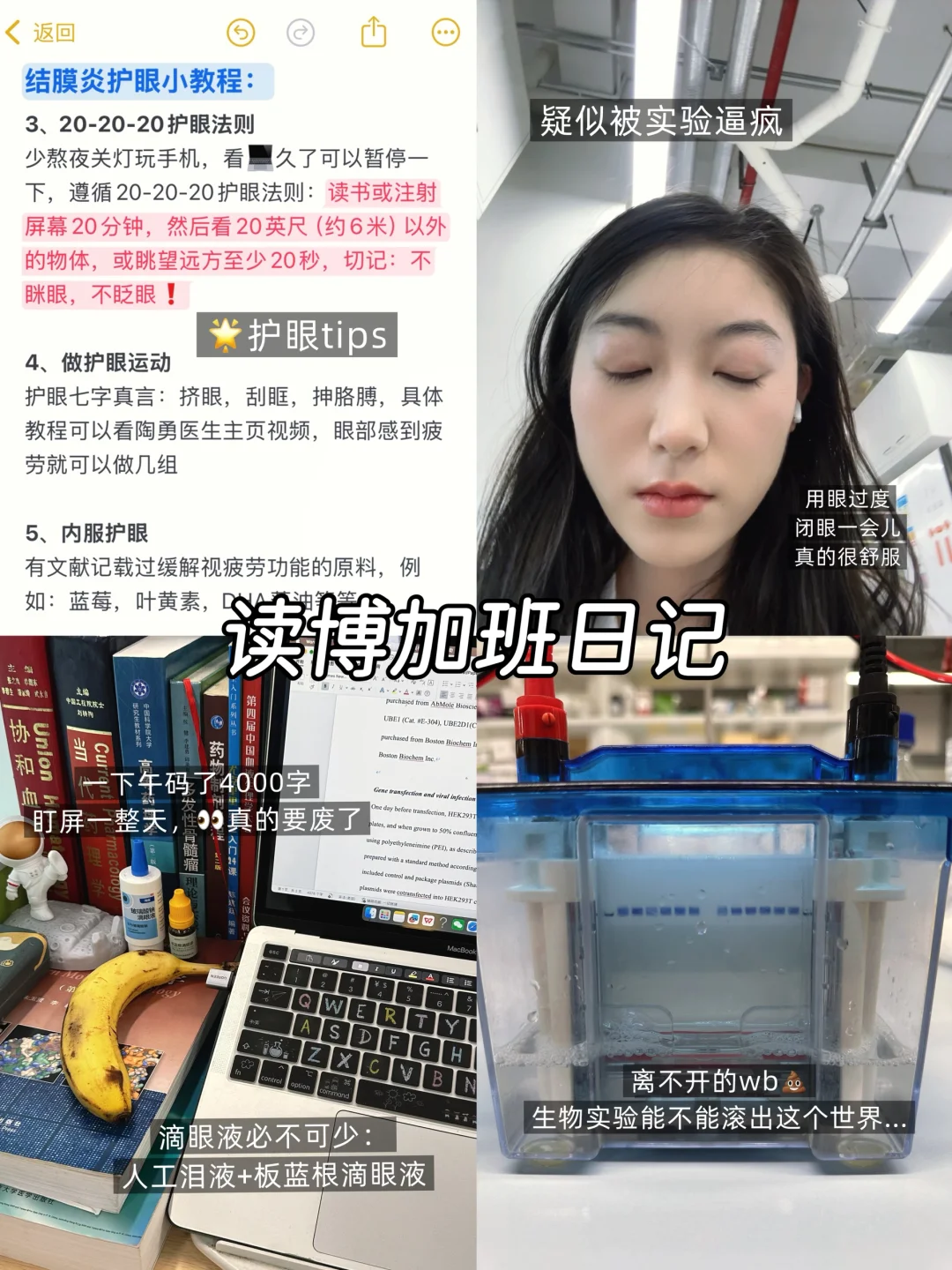 读博plog｜只有我国庆会坚守在岗位吗？