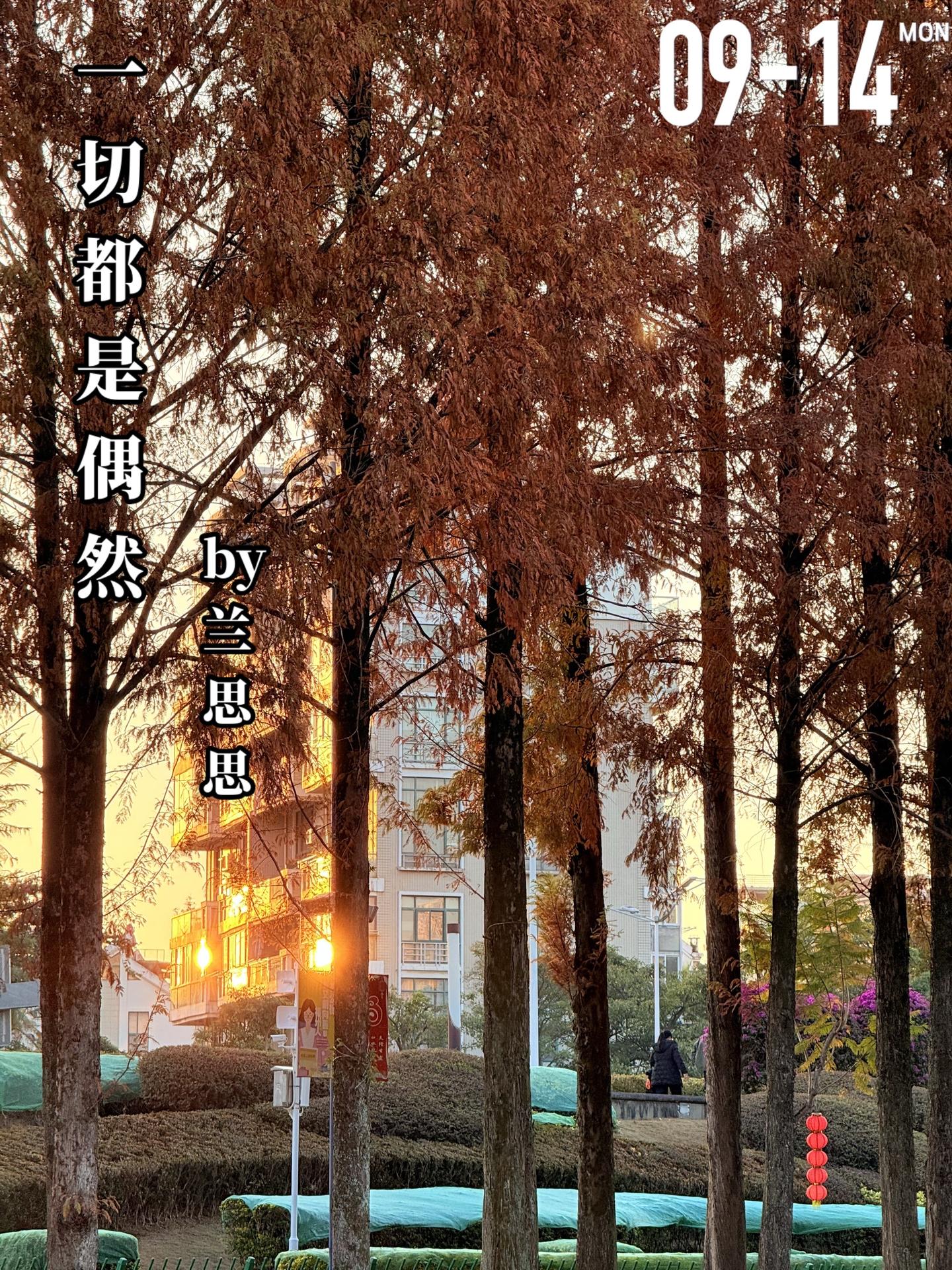 《一切都是偶然》by兰思思。谢知春（女主）和荣钧（男主）相亲认识后便步...