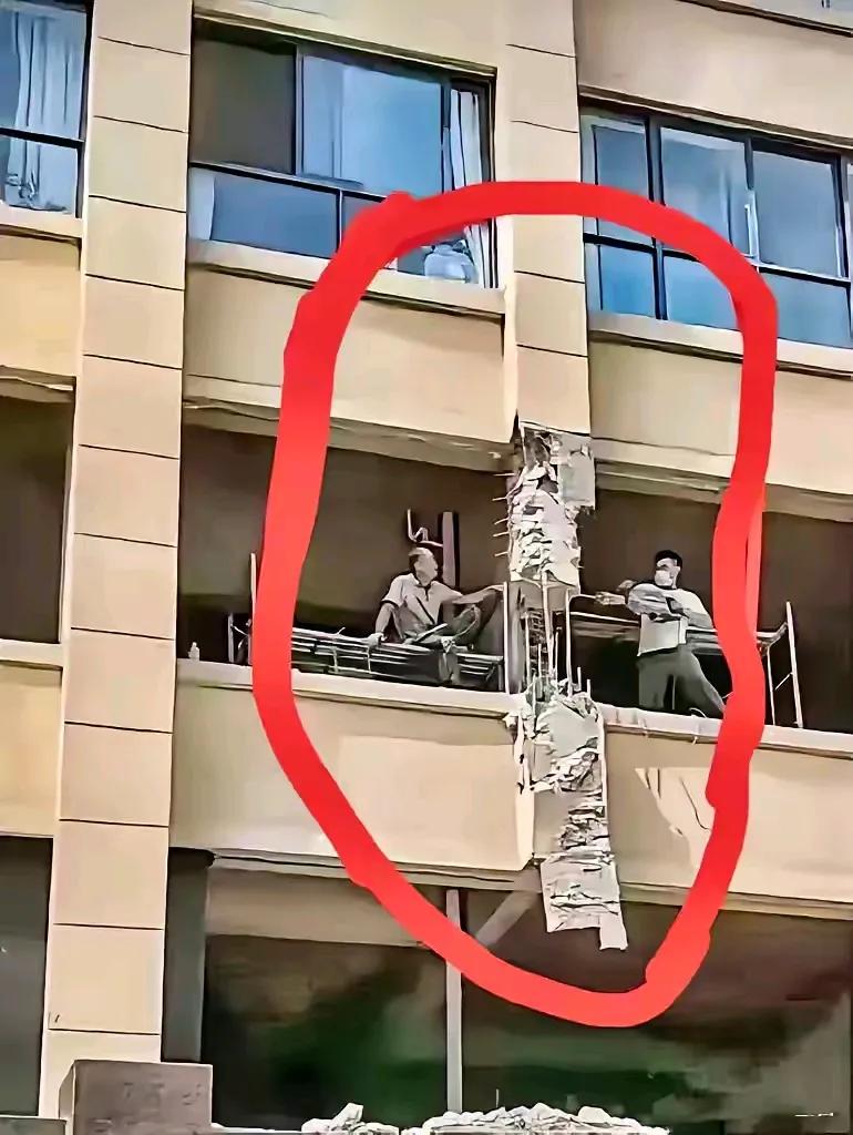 “饿死胆小的，撑死胆大的？”不可置信，一女子居然在阳台前，看到对面楼的业主雇人正