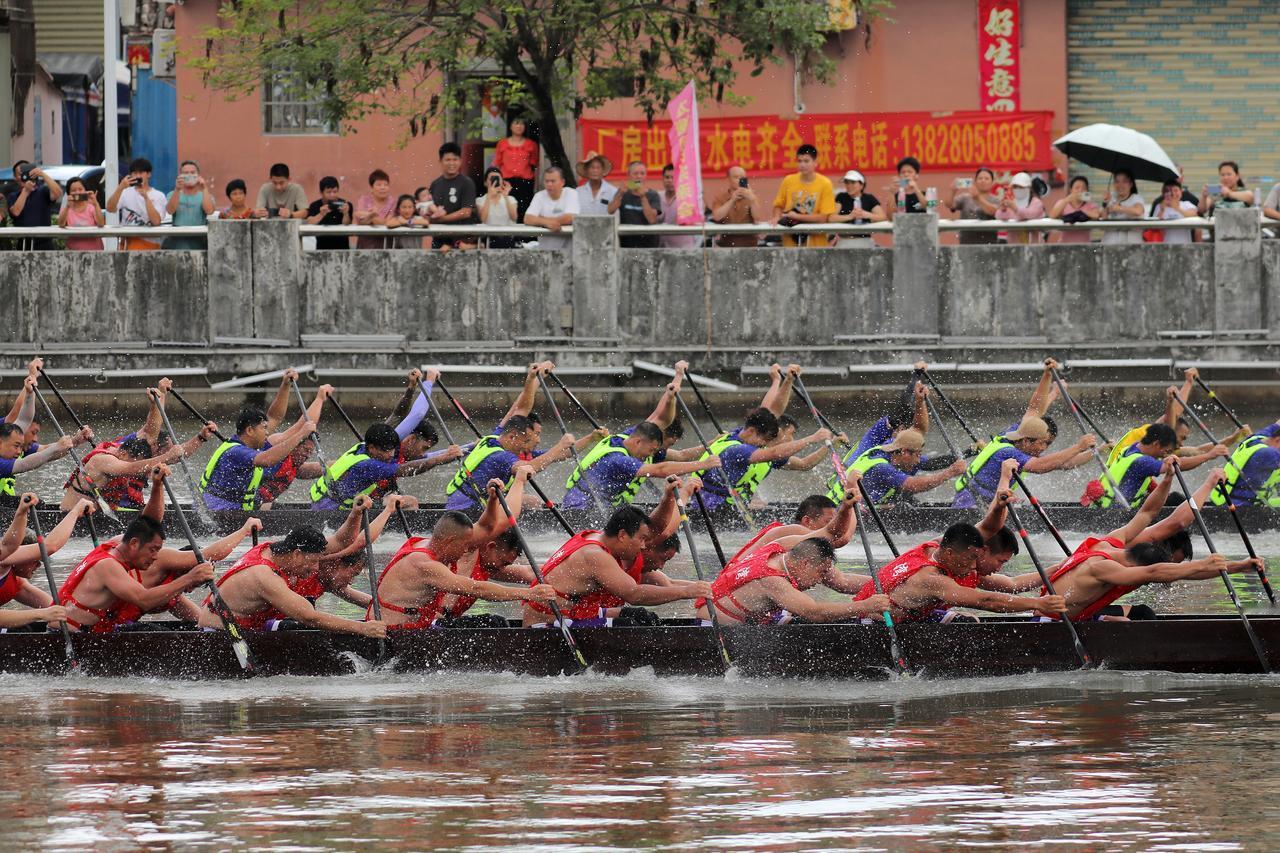 开平 开平龙舟 龙舟 广东龙舟 广东龙舟赛