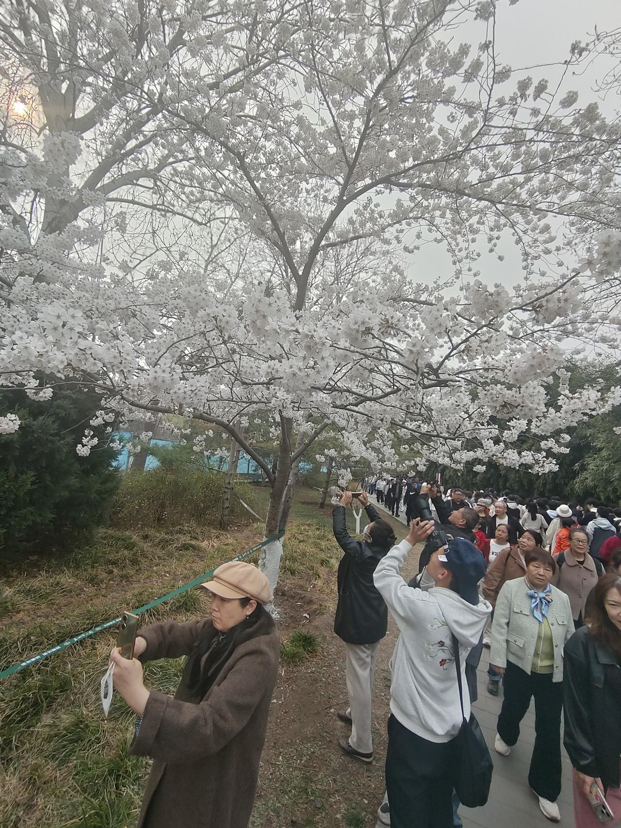 很多女人心寒，从来不是因为吃苦受累，而是掏心掏肺后，反被倒打一耙。
 
明明是我