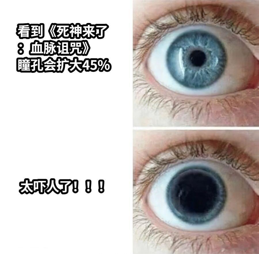 死神来了 生活排雷指南书  看这部电影简直赚翻了！剧情刺激到让人肾上腺素飙升，每