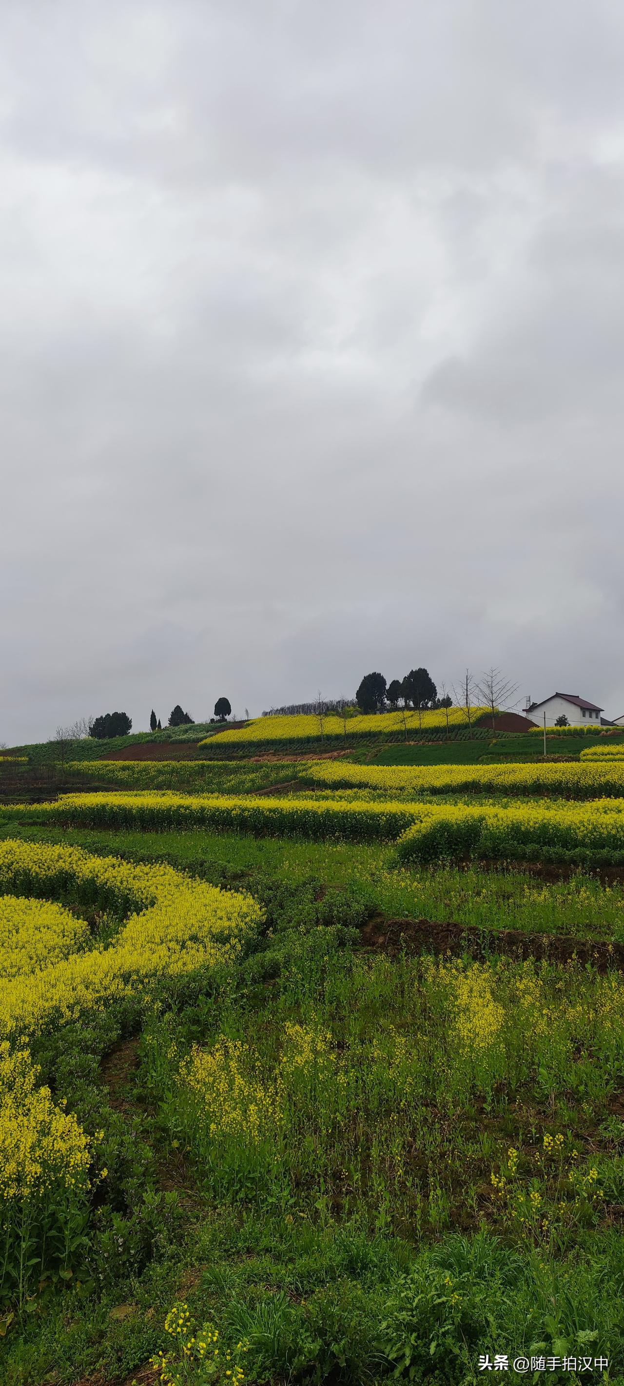 春雨绵绵，不急不缓的落下，湿漉漉的生机使得世间不再坚硬。耳边刷刷刷的声音，那是雨