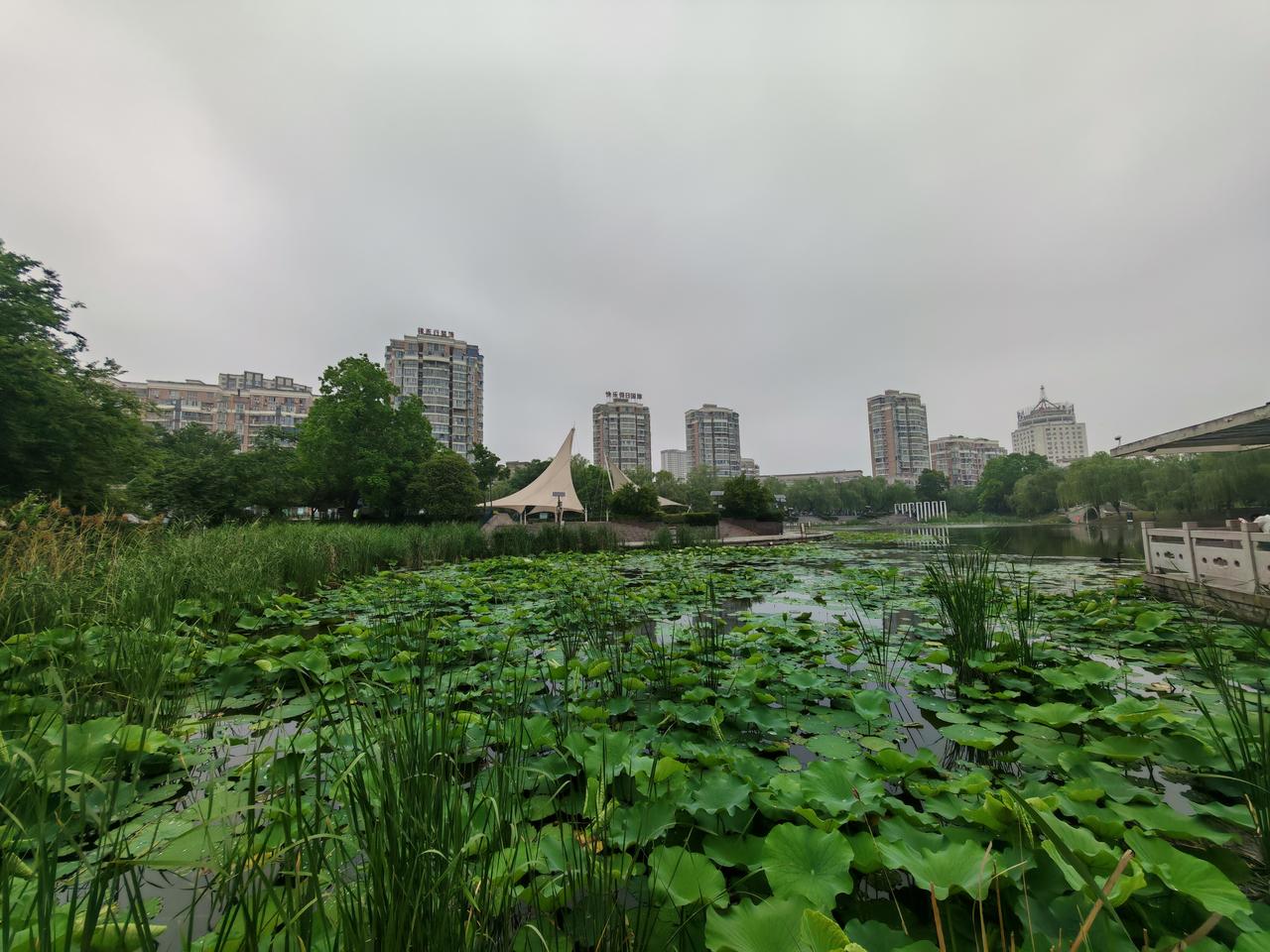 雨过天晴凉意浓浓