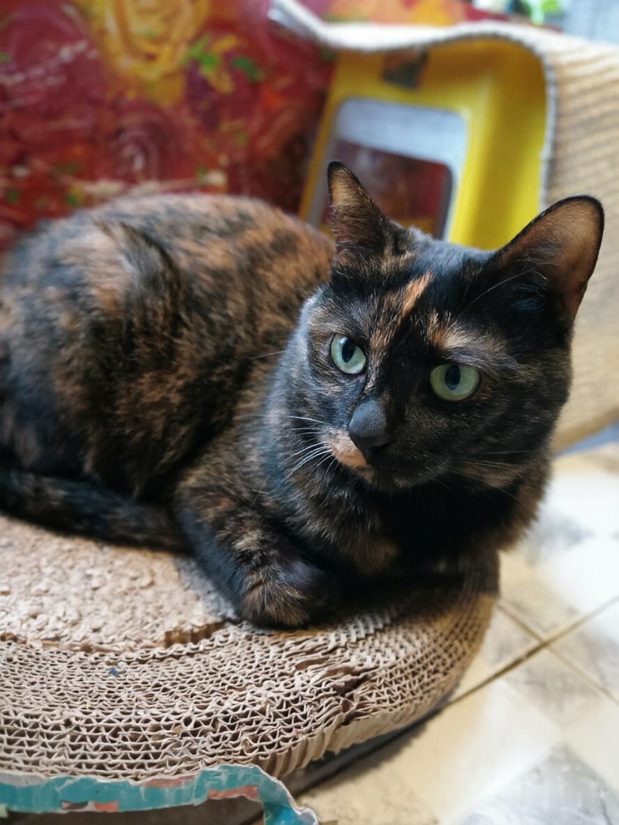 为我的真诚创作点赞！ 👍❤️🔥你也快来发布一条吧！带记录真实生活话题，更容易