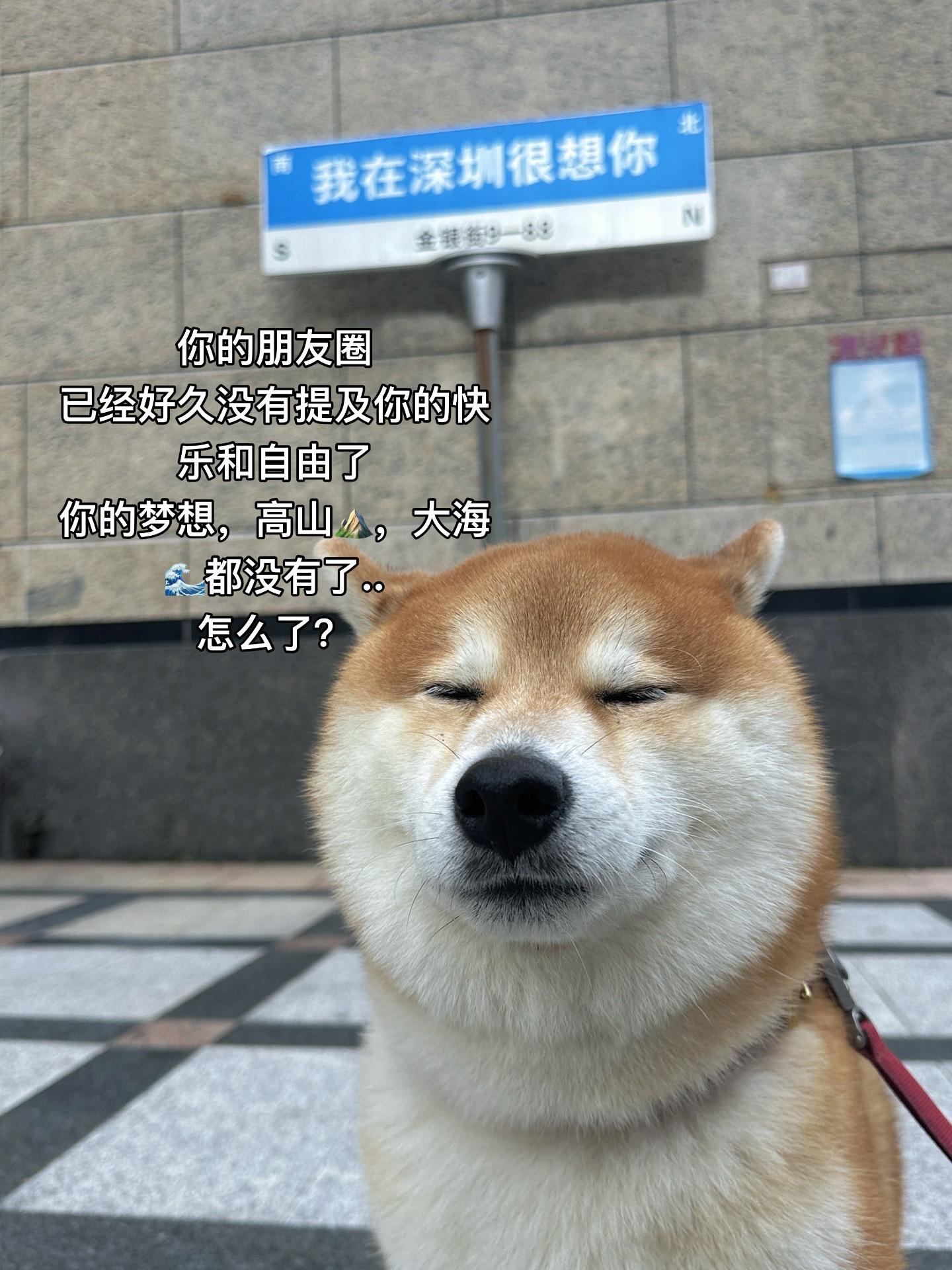 我的朋友。你是不是来深圳了？