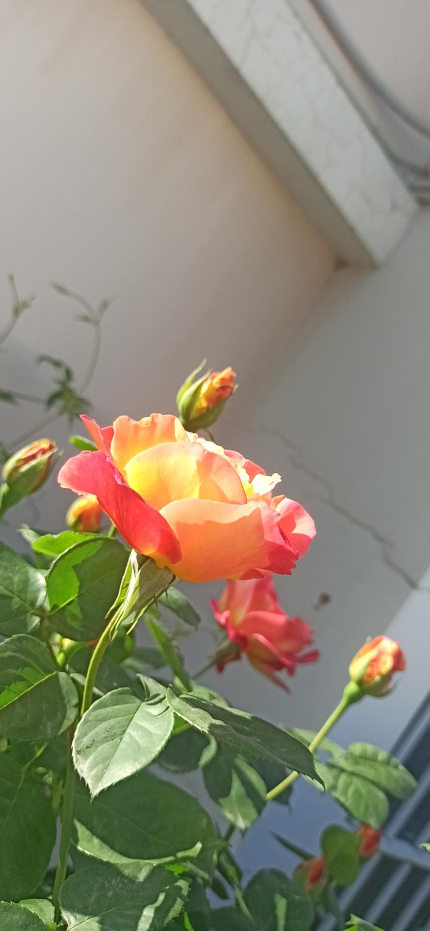宝贝！Happy birthday to you‌
岁序更迭间，又迎来你的生日。