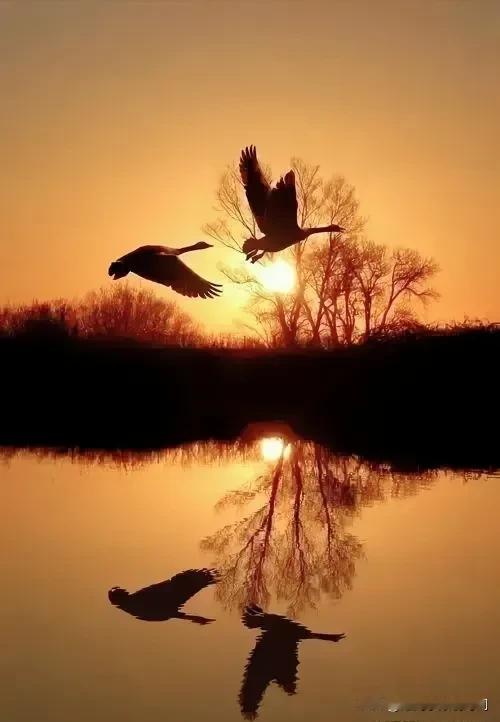 #上联:天高悬日月，下联有请#
天高悬日月，
地大度春秋。