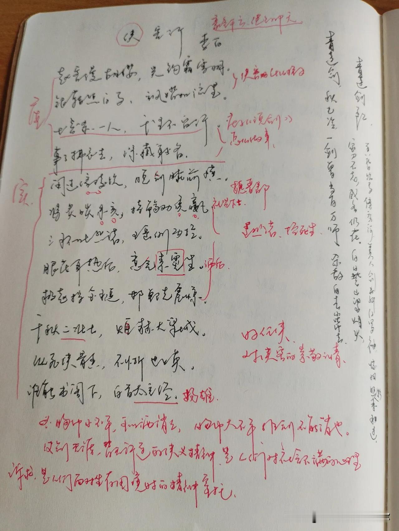 夏日生活打卡季