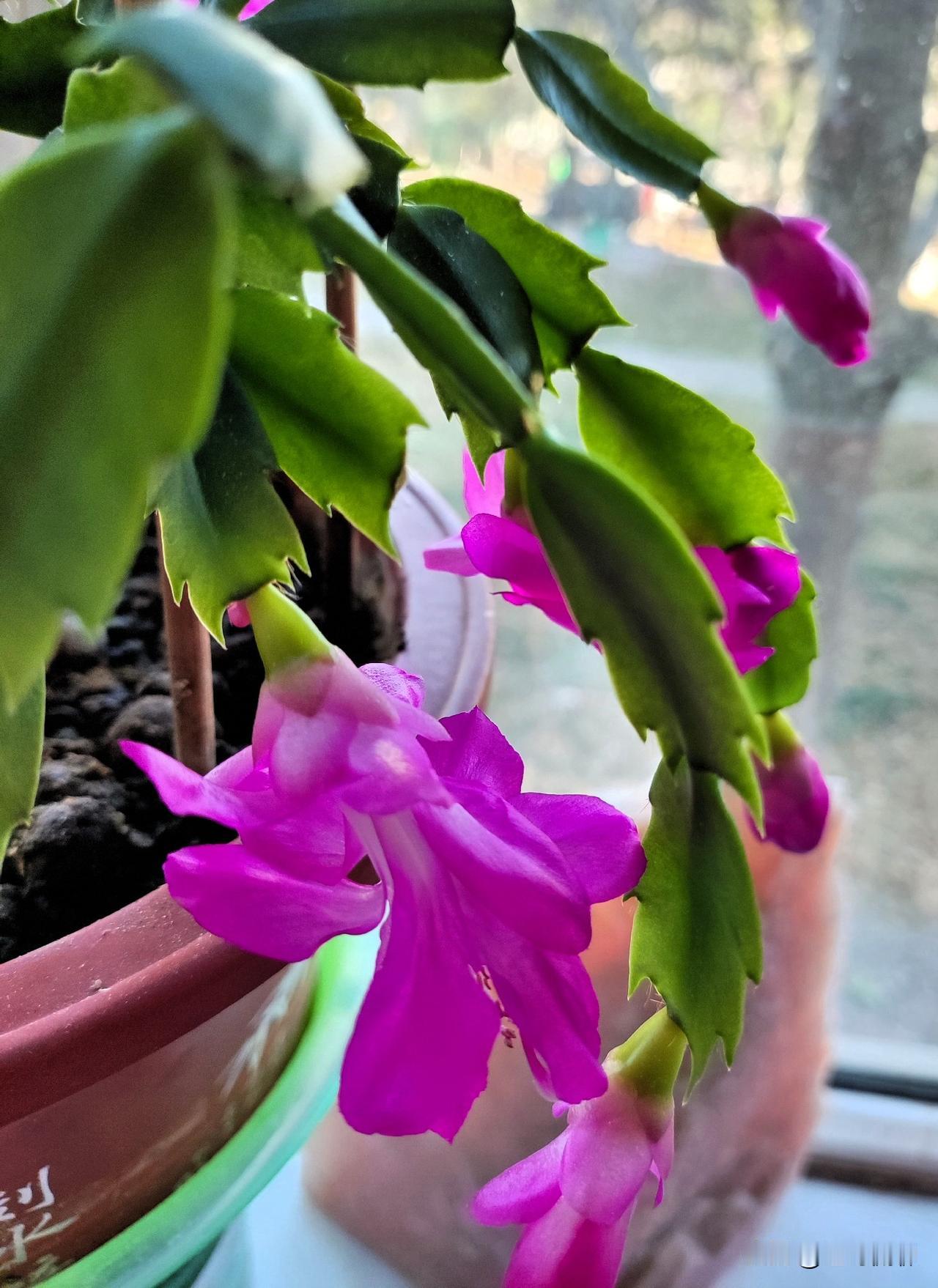 这样说就不太好了，现在演员也的确不像过去那么好过，但不论什么目的，演员有了流量名