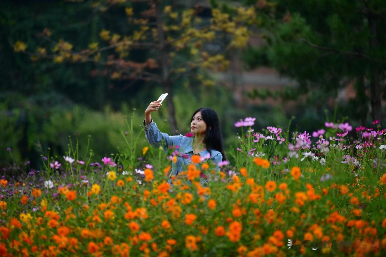 一花绽放韵无边，一草摇风意自绵。
花舞芬芳情脉脉，草吟静谧梦翩翩。

红尘独对心