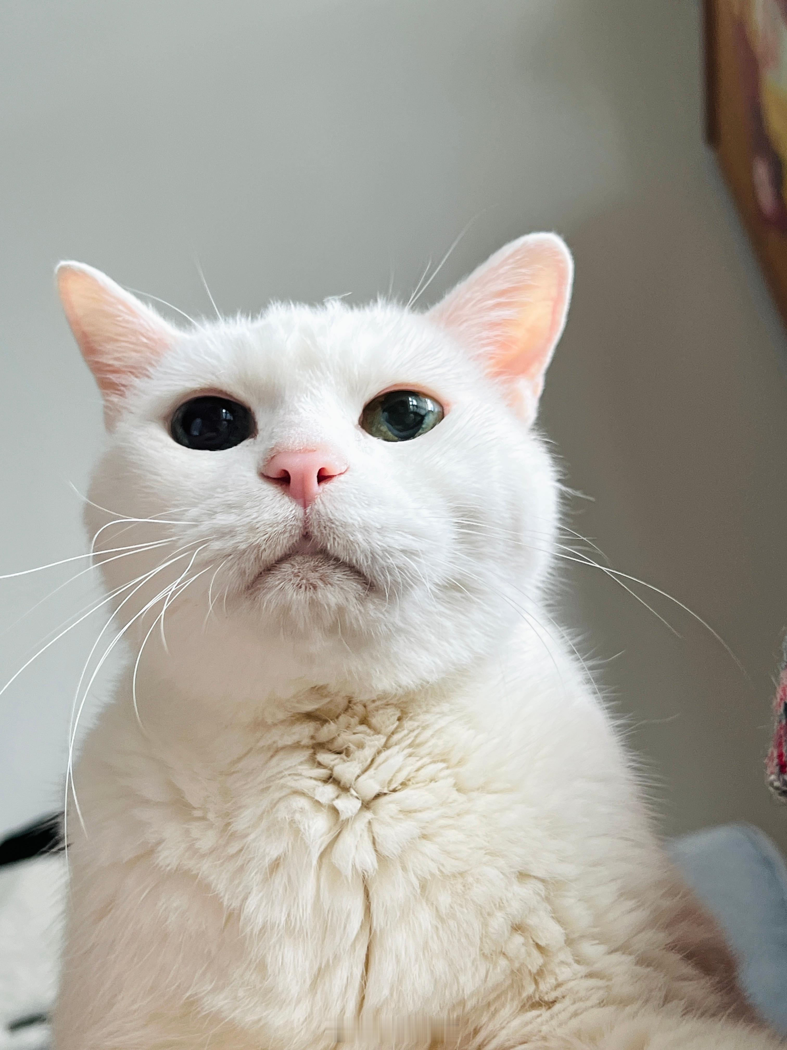 下巴有點黑黑（但還是帥😎） ​​​